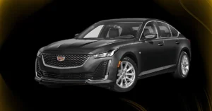 Exploring the Luxurious Fleet of Limo Service Dallas