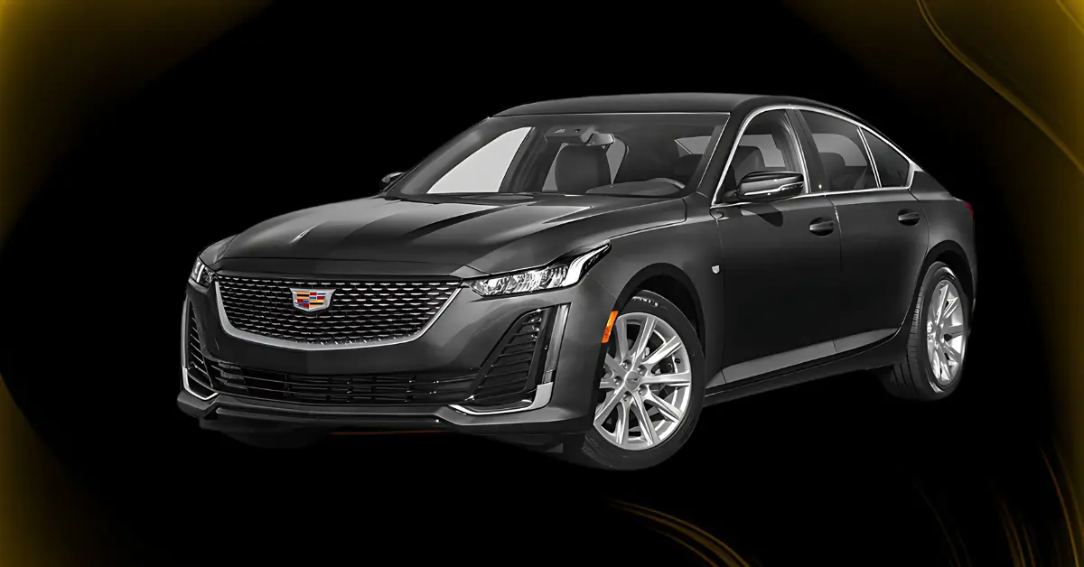 Exploring the Luxurious Fleet of Limo Service Dallas