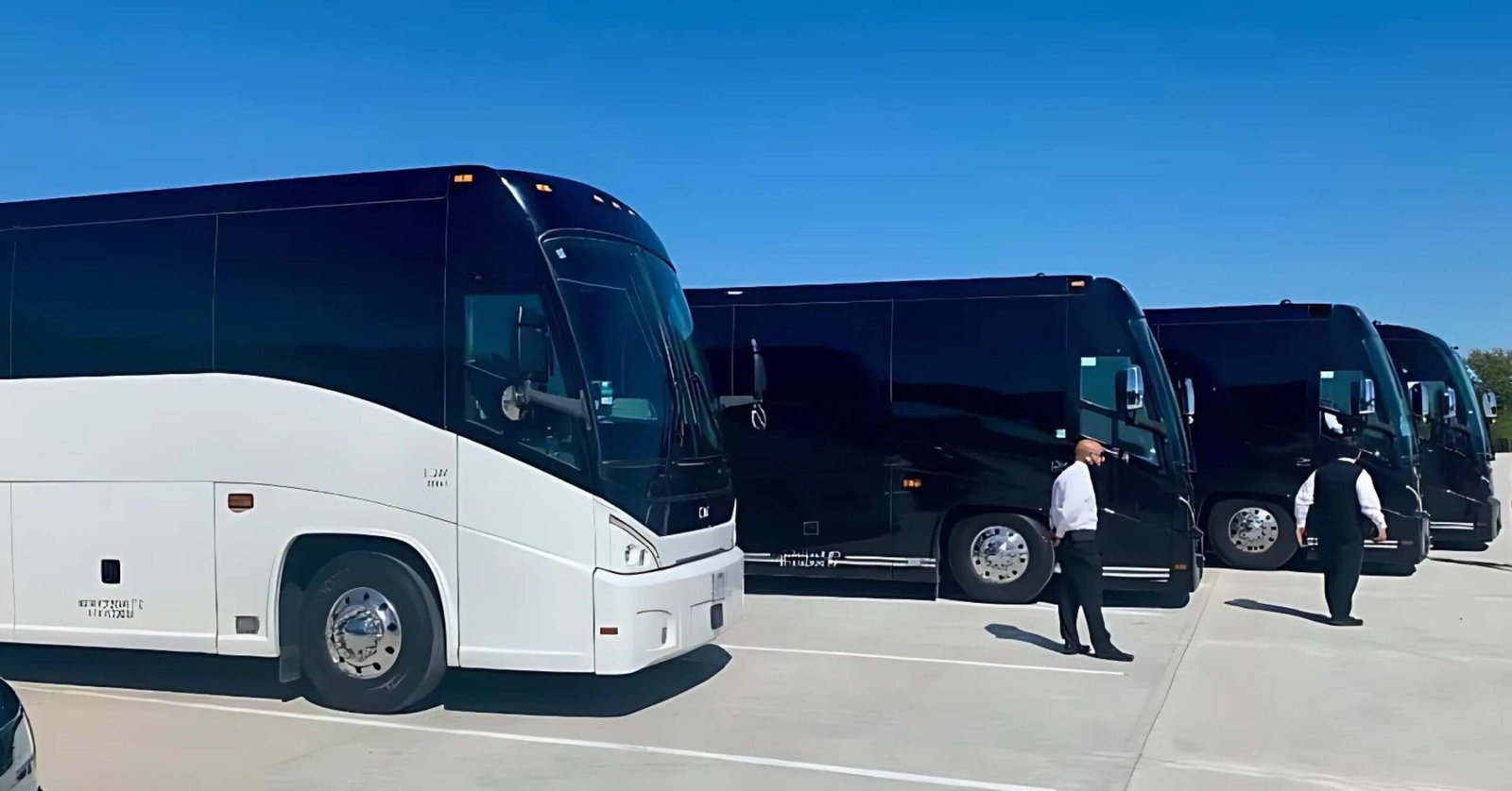 White & Black Motor Coach