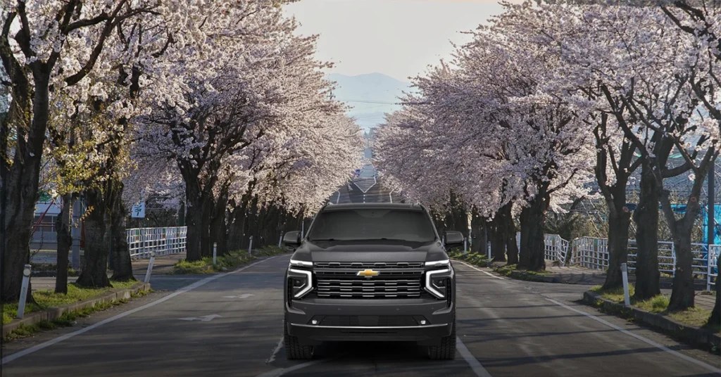 Local Tourism and Cherry Blossoms