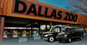Dallas Zoo Guide: Exhibits, Animals & Limo Travel Tips