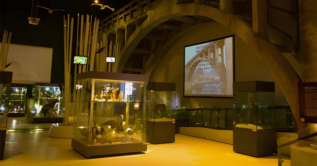 Inside the Perot Museum: A World of Discovery