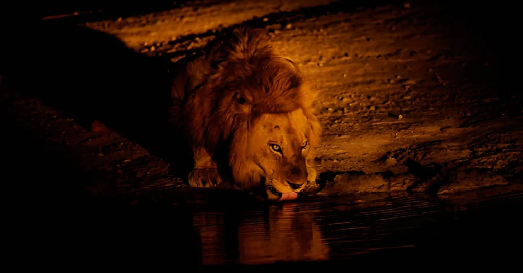 Seasonal Events and Special Experiences